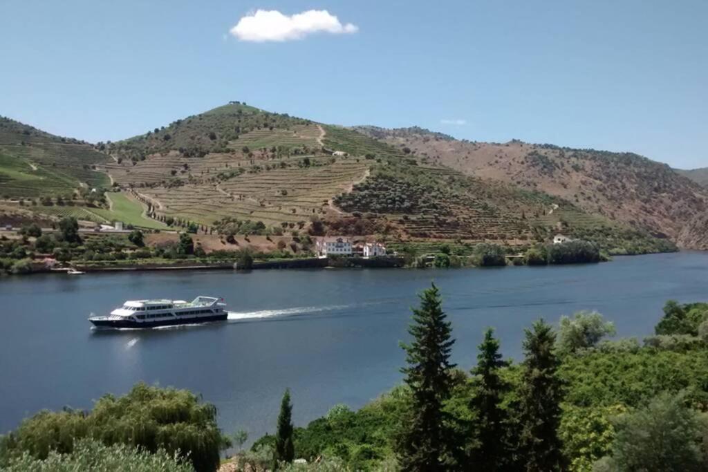 Casa Dos Vinhais - Douro Valley Coleja Luaran gambar